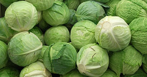 Cabbage Storage Crop Image